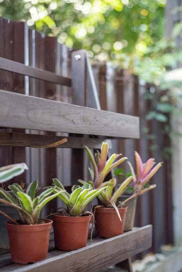 Loft Style Townhouse Near Old City เชียงใหม่ ภายนอก รูปภาพ